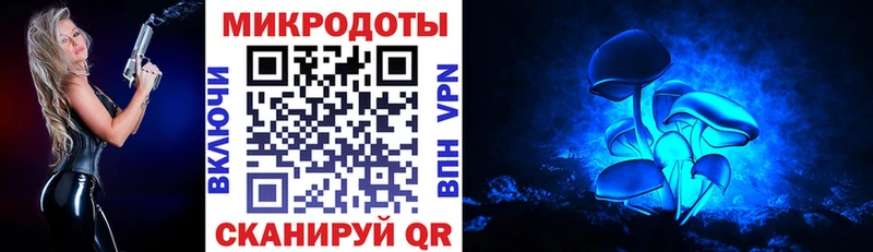 Купить где Палласовка Галлюциногенные грибы ЛСД